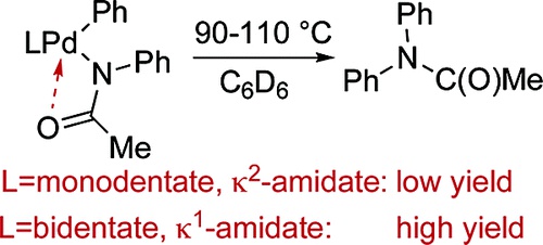 Organometallic Chemistry from Amidate Complexes. Reductive elimination of N-Aryl Amidates from Palladium(II)