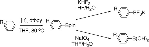 One-Pot Synthesis of Arylboronic Acids and Aryl Trifluoroborates by Ir-Catalyzed Borylation of Arenes