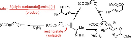 Resting State and Kinetic Studies on the Asymmetric Allylic Substitutions Catalyzed by Iridium-Phosphoramidite Complexes.