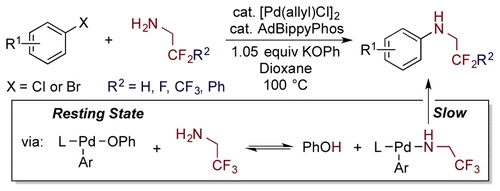 Palladium-Catalyzed Arylation of Fluoroalkylamines