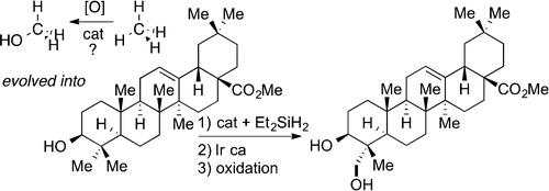 Evolution of C-H Bond Functionalization from Methane to Methodology