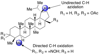 Transition-Metal-Catalyzed Selective Functionalization of C(sp<sup>3</sup> )-H Bonds in Natural Products