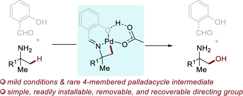Palladium-Catalyzed Oxidation of β-C(<i>sp</i><sup>3</sup>)–H Bonds of Primary Alkylamines through a Rare Four-Membered Palladacycle Intermediate