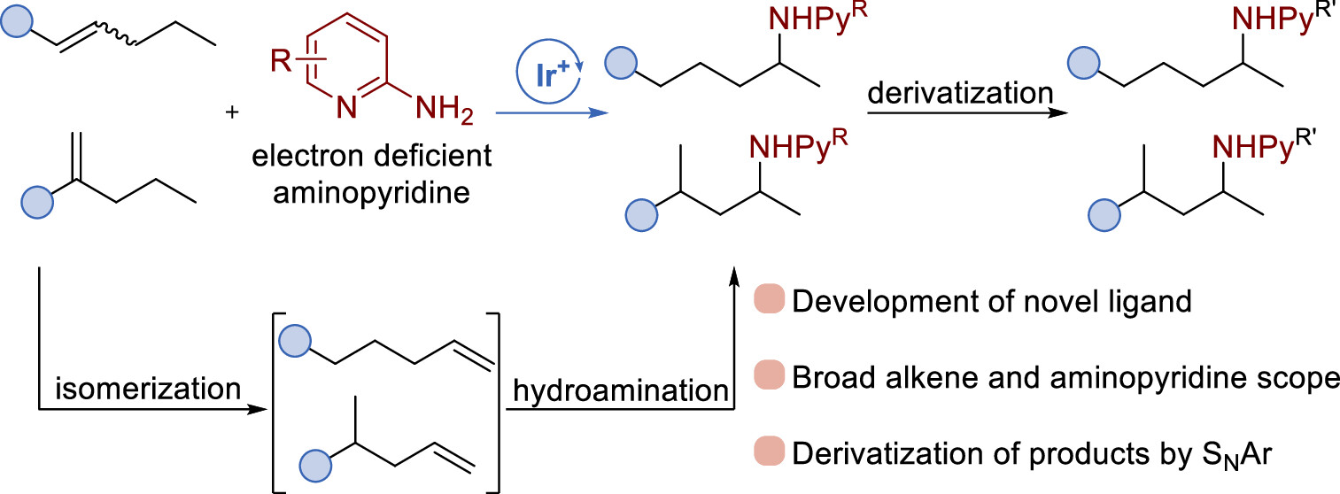 Remote Hydroamination of Disubstituted Alkenes by a Combination of Isomerization and Regioselective N-H Addition