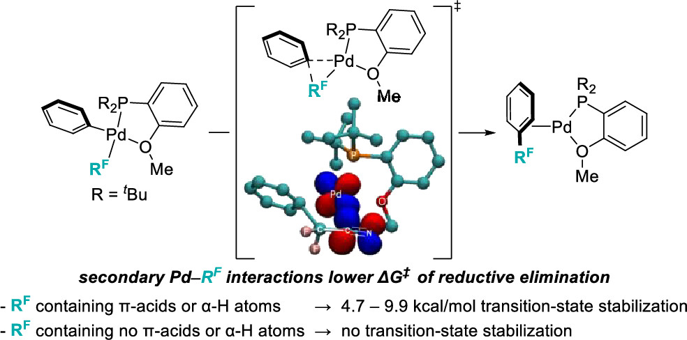Transition-State Stabilization by Secondary Orbital Interactions between Fluoroalkyl Ligands and Palladium During Reductive Elimination from Palladium(aryl)(fluoroalkyl) Complexes