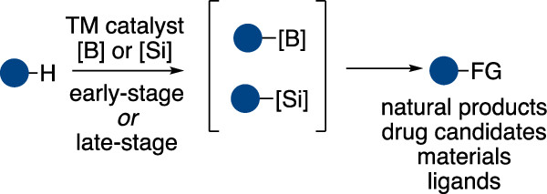 Transition-Metal-Catalyzed Silylation and Borylation of C-H Bonds for the Synthesis and Functionalization of Complex Molecules