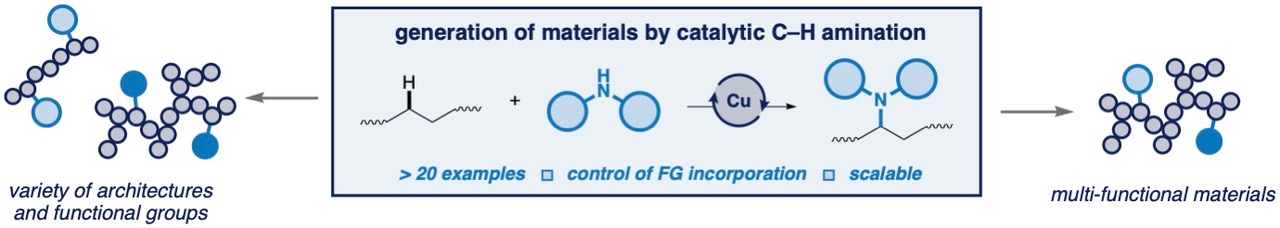 Diverse functional polyethylenes by catalytic amination