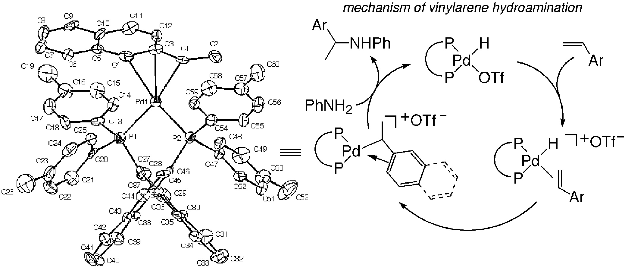 A new pathway for hydroamination. Mechanism of palladium-catalyzed addition of anilines to vinylarenes