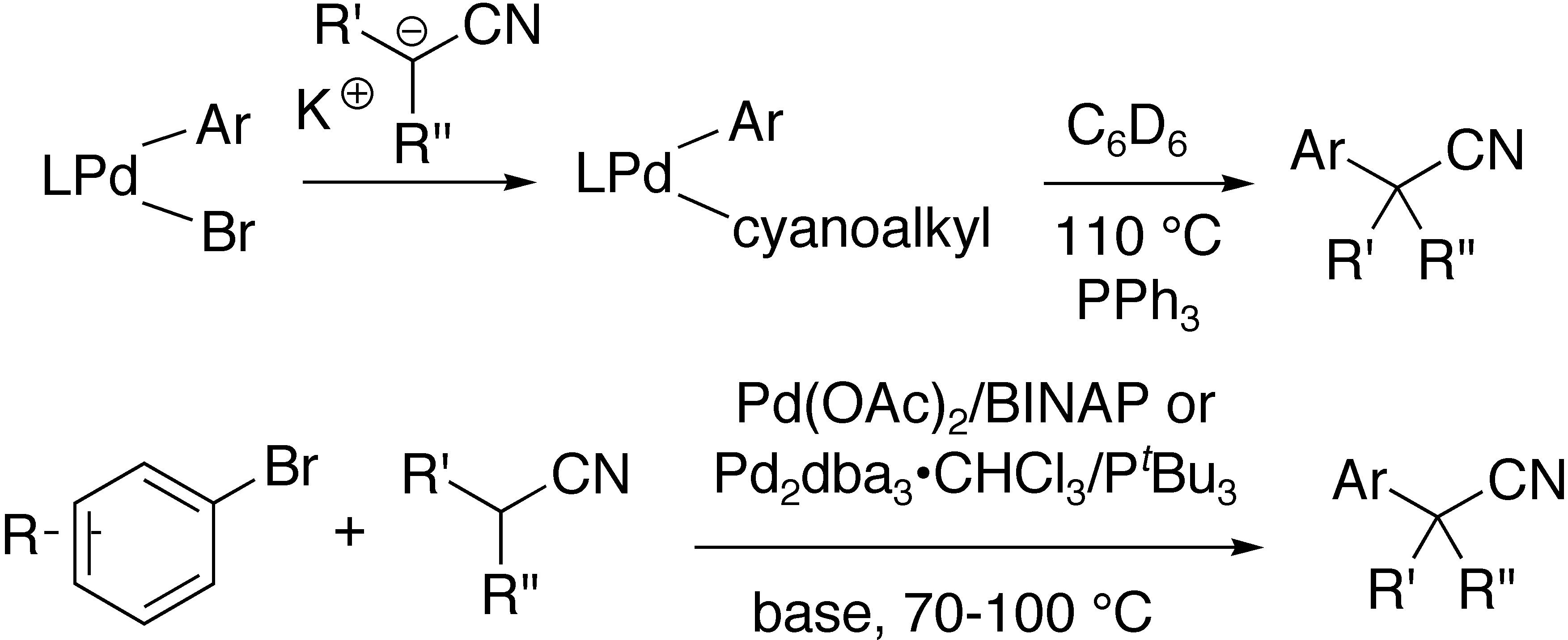 Synthesis, characterization, and reactivity of arylpalladium cyanoalkyl complexes:   	Selection of catalysts for the alpha-arylation of nitriles