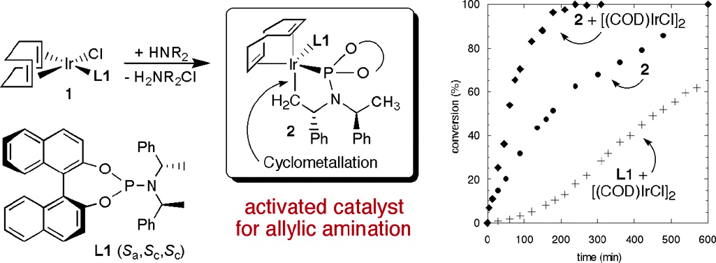 Identification of an Activated Catalyst in the Iridium-Catalyzed   	Allylic Amination and Etherification. Increased Rates, Scope, and Selectivity