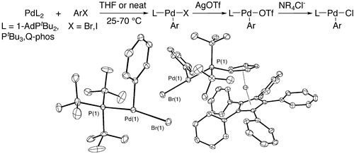 Synthesis, Structure, Theoretical Studies, and Ligand Exchange   	Reactions of Monomeric, T-Shaped Arylpalladium(II) Halide Complexes with an   	Additional, Weak Agostic Interaction