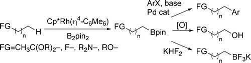 Regiospecific Functionalization of Methyl C-H Bonds of Alkyl Groups in Reagents with Heteroatom Functionality