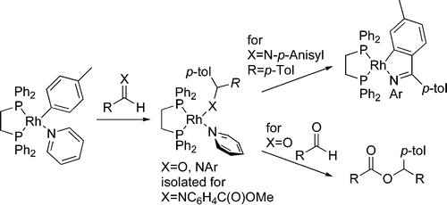 Reactions of an Arylrhodium Complex with Aldehydes, Imines, Ketones, and Alkynones. New Classes of Insertion Reactions