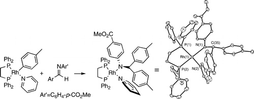 Imine Insertion into a Late Metal-Carbon Bond To Form a Stable Amido Complex