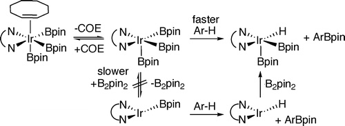Mechanism of the Mild Functionalization of Arenes by Diboron Reagents Catalyzed by   	Iridium Complexes. Intermediacy and Chemistry of Bipyridine-Ligated Iridium Trisboryl Complexes