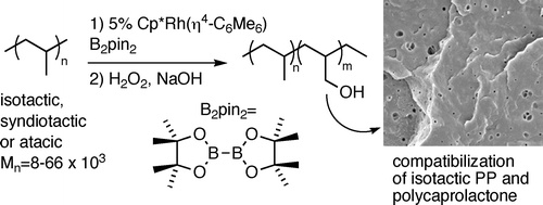 Catalytic Hydroxylation of Polypropylenes