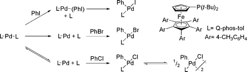 Distinct Mechanisms for the Oxidative Addition of Chloro-, Bromo-, and   	Iodoarenes to a Bisphosphine Palladium(0) Complex with Hindered Ligands