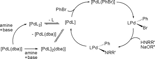 Reevaluation of the Mechanism of the Amination of Aryl Halides Catalyzed by BINAP-Ligated Palladium Complexes