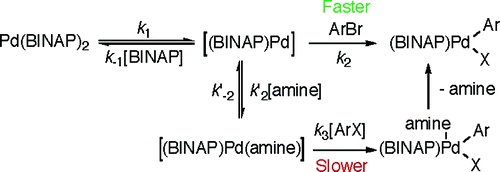 Oxidative Addition of Phenyl Bromide to Pd(BINAP) vs Pd(BINAP)(amine). Evidence for Addition to Pd(BINAP)