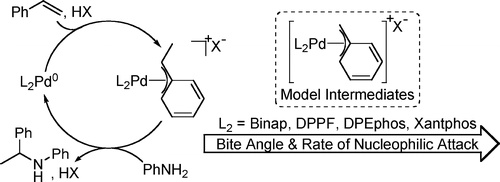 A Highly Active Palladium Catalyst for Intermolecular Hydroamination.       Factors that Control Reactivity and Additions of Functionalized Anilines to Dienes and Vinylarenes