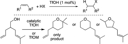 Hydroamination and Hydroalkoxylation Catalyzed by Triflic Acid. Parallels to Reactions Initiated with Metal Triflates