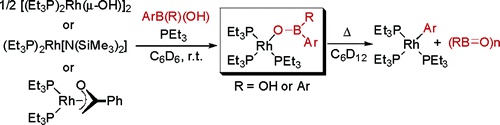 Directly Observed Transmetalation from Boron to Rhodium. b-Aryl Elimination from Rh(I) Arylboronates 		and Diarylborinates