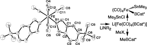 Boryls bound to iron carbonyl. Structure of a rare bis(boryl) complex, synthesis of the first   	anionic boryl, and reaction chemistry that includes the synthetic equivalent of boryl anion transfer