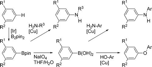 Arenes to Anilines and Aryl Ethers by Sequential Iridium-Catalyzed Borylation and Copper-Catalyzed Coupling