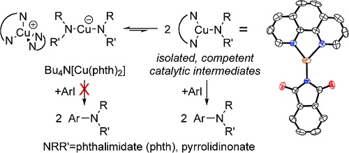 Copper Complexes of Anionic Nitrogen Ligands in the Amidation and Imidation of Aryl Halides.