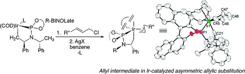 The Allyl Intermediate in Regioselective and Enantioselective Iridium-Catalyzed Asymmetric Allylic Substitution Reaction
