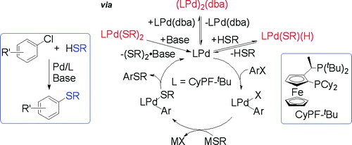 Resting State and Elementary Steps of the Coupling of Aryl Halides with Thiols Catalyzed by Alkylbisphosphine Complexes of Palladium
