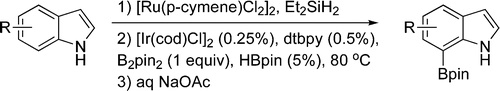 Iridium-Catalyzed, Silyl-Directed Borylation of Nitrogen-Containing Heterocycles