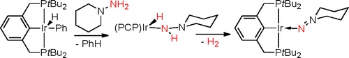N-H Activation of Hydrazines by Iridium(I). Double N-H Activation to Form Iridium Aminonitrene Complexes