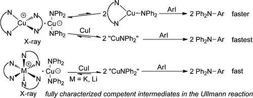 Cu(I) Amido Complexes in the Ullmann Reaction. Reactions of Cu(I)-Amido Complexes with Iodoarenes with and without Autocatalysis by CuI