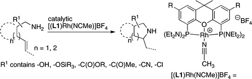 Intramolecular Hydroamination of Unbiased and Functionalized Primary Aminoalkenes Catalyzed by a Rhodium Aminophosphine Complex