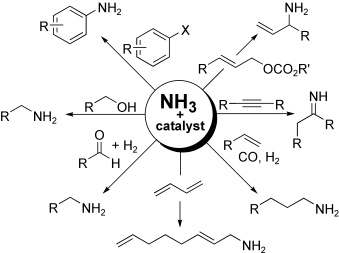 Catalytic Organometallic Reactions of Ammonia