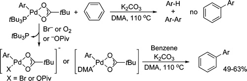 Assessment of the Intermediacy of Arylpalladium Carboxylate Complexes in the Direct Arylation of Benzene: Evidence for C-H Bond Cleavage by ‘Ligandless’ Species