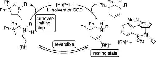 Rhodium Phosphine-π-Arene Intermediates in the Hydroamination of Alkenes