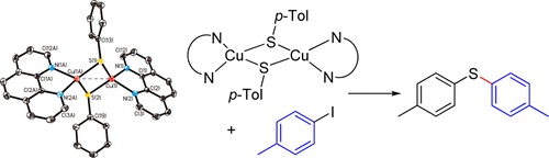 Synthesis of Copper(I) Thiolate Complexes in the Thioetherification of Aryl Halides