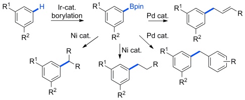 Sterically Controlled Alkylation of Arenes through Iridium-Catalyzed C-H Borylation