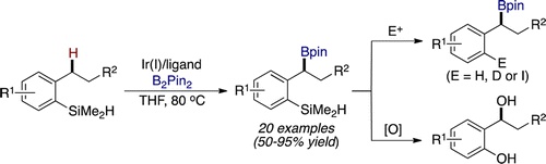 Iridium-Catalyzed Borylation of Secondary Benzylic C–H Bonds Directed by a Hydrosilane