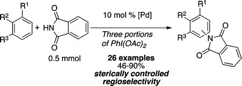 Sterically Controlled, Palladium-Catalyzed Intermolecular Amination of Arenes