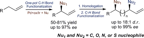 Enantioselective Functionalization of Allylic C–H Bonds Following a Strategy of Functionalization and Diversification