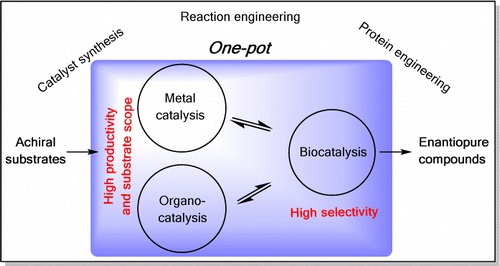 Multistep One-Pot Reactions Combining Biocatalysts and Chemical Catalysts for Asymmetric Synthesis