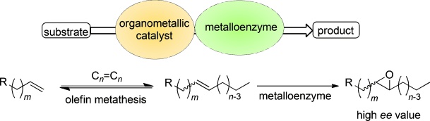 Cooperative Tandem Catalysis by an Organometallic Complex and a Metalloenzyme