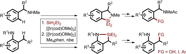 Iridium-Catalyzed Regioselective Silylation of Aromatic and Benzylic C-H Bonds Directed by a Secondary Amine