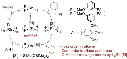 Mechanism of the Rhodium-Catalyzed Silylation of Arene C−H Bonds