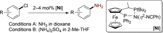 Nickel-Catalyzed Amination of Aryl Chlorides with Ammonia or Ammonium Salts