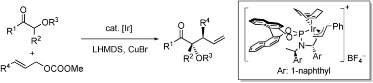 Iridium-Catalyzed Diastereoselective and Enantioselective Allylic Substitutions with Acyclic -Alkoxy Ketones