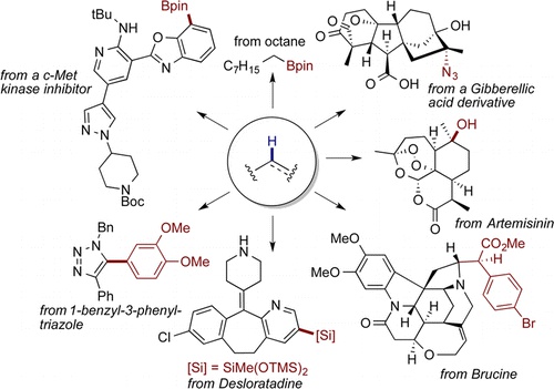 Undirected, Homogeneous C&minus;H Bond Functionalization: Challenges and Opportunities